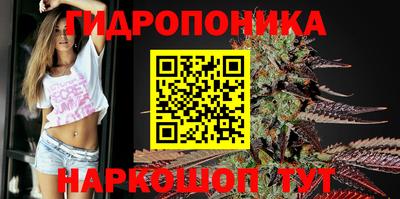 прущие крисы Ставрополь
