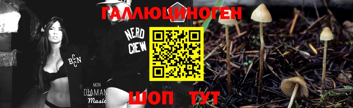 Псилоцибиновые грибы мицелий  Вход с VPN  Галлюциногенные грибы MAGIC MUSHROOMS  Коломна 